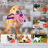 5 Pack LECHONG Tough Dog Toys Stuffed Squeaky Dog Toys Assortment Plush Animal Dog Toy Value Bundle Puppy Pet Dog Toys