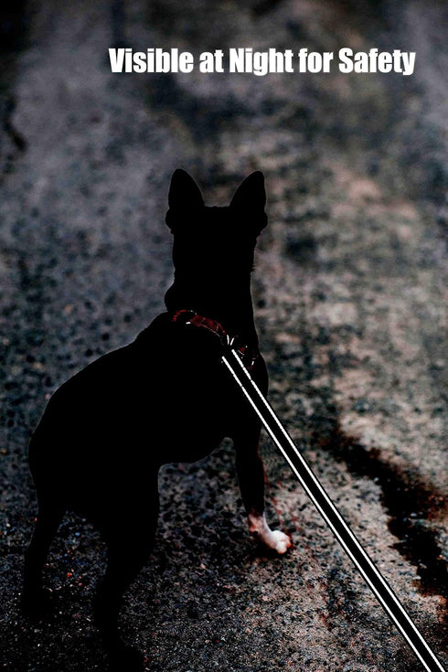 6FT Reflective Dog Leash for Large, Medium, and Small Dogs, Nylon Leash for Walking and Training, 1 inch x 6FT (Black)