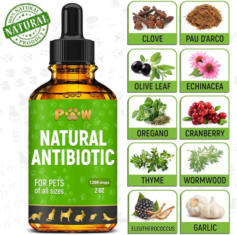 Dog Antibiotics for Infection, Coughs, UTIs, Allergies, Natural Antibiotics for Cats, 2 oz