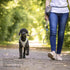 Stretch Comfort Leash, Black, L