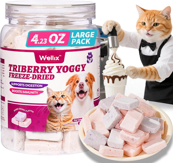 Wellix 4.23oz Natural Freeze-Dried Snacks for Dog & Cat - Triberry Yoggy