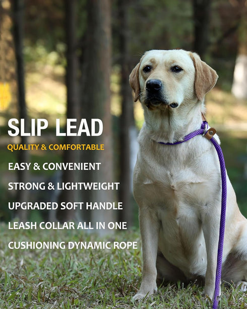 lynxking Dog Leash Slip Lead, 5 6 8 FT Heavy Duty Braided No Pull Training Leash for Small Medium Large Dogs