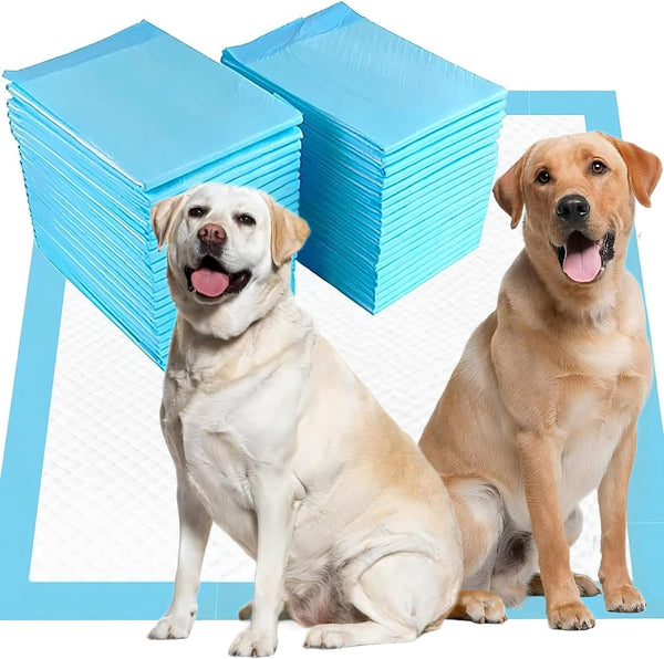Aurora Pet Dog and Puppy Pee Pads with 5-Layer Leak-Proof Design and