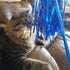 ADUCK Cat Toys Interactive Teaser Wand Toy with Tassels, Random Color, 1PC