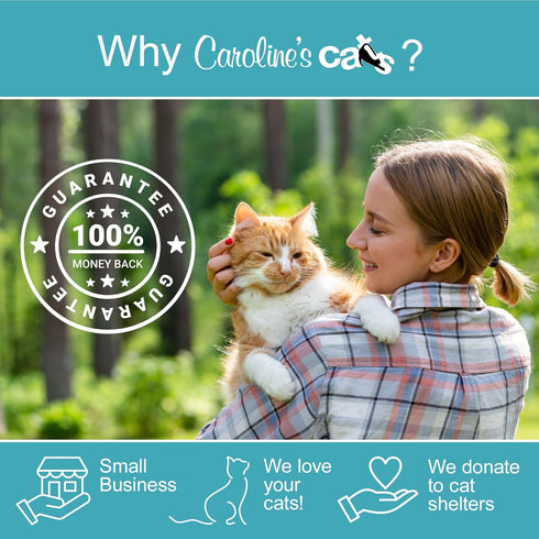 2 1 Recommended Caroline's Cats Automatic Butterfly Cat Toy Interactive in with Auto Shut Off & Catnip Ball Track;