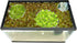 Magnetic Invisible Feeding Ring, Customizable Food Portal for Floating Plant Aquariums