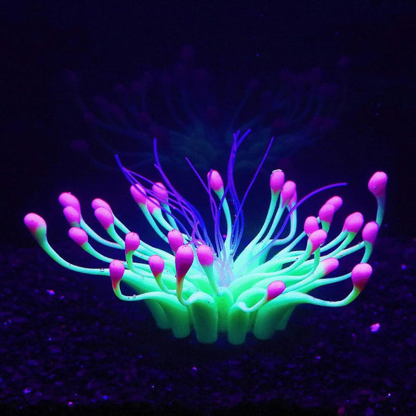 Soft Silica Gel Aquarium Decorations, Glow in The Dark Coral Ornaments for Fish Tank (Green, Equinox)