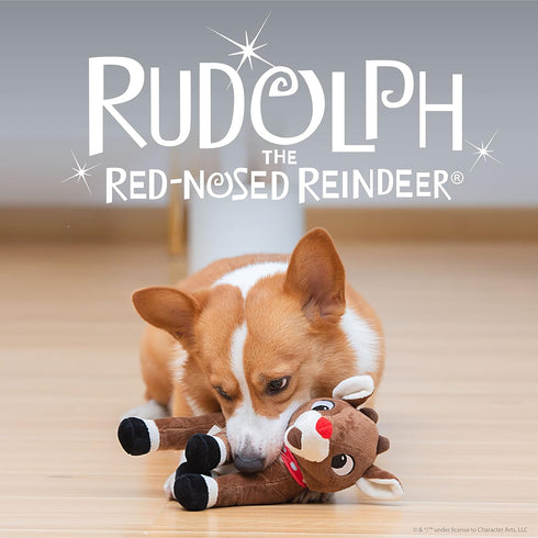 Rudolph The Red-Nosed Reindeer Plush Dog Toy, 9" Squeaker, Holiday Toys for Pets, Christmas Dog Toys