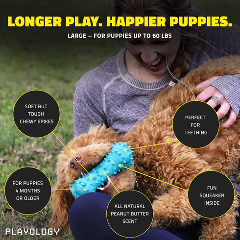 Playology Puppy Teething Bone - Chew Toys with Squeaker for Puppies 4-8 Months (Up to 60lbs) - Engaging All-Natural Peanut Butter Scented Toy