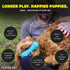 Playology Puppy Teething Bone - Chew Toys with Squeaker for Puppies 4-8 Months (Up to 60lbs) - Engaging All-Natural Peanut Butter Scented Toy