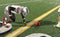 NW Athletics Football Snapper Stick, Telescoping Training Tool, Easily Collapsable, Extends Over 48 Inches