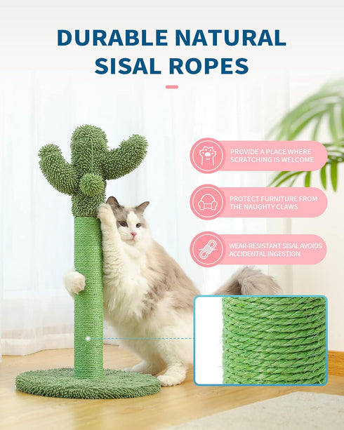Made4Pets Cat Scratching Post, 21.7" Cactus Cat Scratcher with Natural Sisal Rope for Indoor Cats, Dangling Balls