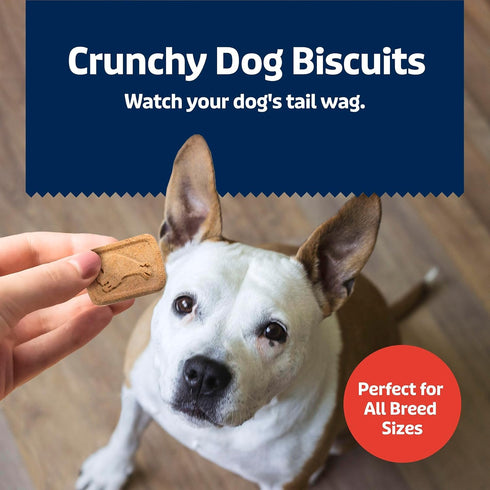 16-oz Blue Buffalo Health Bars Crunchy Dog Biscuits, Oven-Baked with Natural Ingredients, Bacon, Egg & Cheese, Bag
