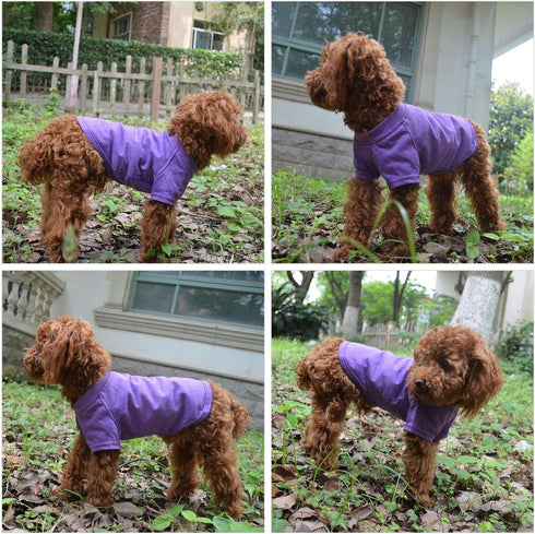 Lovelonglong 2019 Pet Clothing - Basic Blank T-Shirt for Small Dogs, Purple, Size L