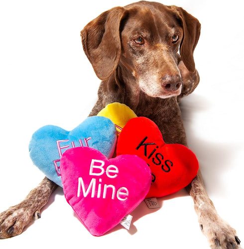 Midlee Candy Heart Valentine's Dog Toy, Set of 4 Large Plush Squeaky Toys
