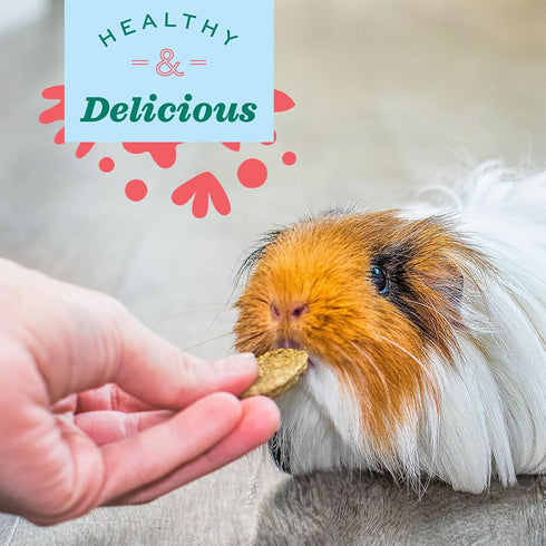 Recommended 4.2 oz Oxbow Natural Science Vitamin C Supplement, Vitamin C & High-Fiber Timothy Hay, Guinea Pig Items