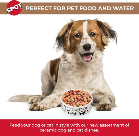 SPOT by Ethical Products - Heavy Ceramic High Gloss Dog Bowl Cat Bowl Durable Dog Food and Water Pet Dish - Dishwasher Safe - I LOVE DOGS DOG DISH 7"