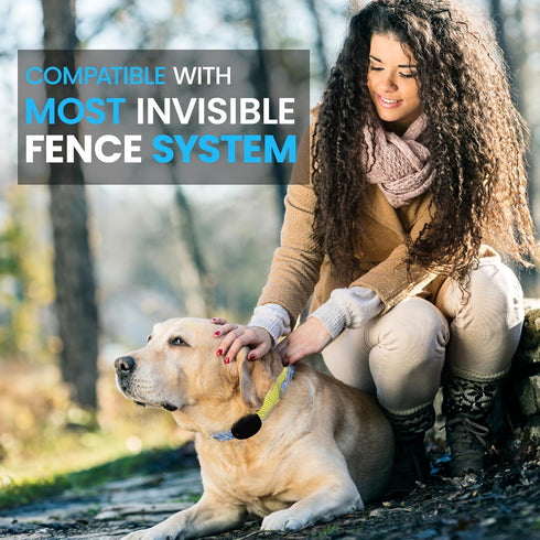 ECollar Replacement Strap - Compatible with Major Brands, Invisible Fence Shock Collar Replacement Collar (Arrow,