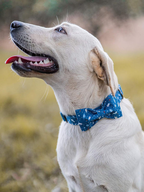 Elegant Little Tail Dog Collar with Bow, Adjustable Cotton & Webbing Bowtie Collar for Small Medium Large Dogs