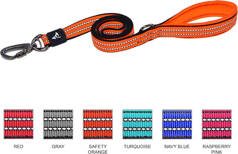 KRUZ PET 4" Long Reflective Heavy Duty Click Lock Hook Leash Strong, Secure Nylon Safety Lead with Locking Carabiner Clip – Pet Leash with Comfortable Padded Handle, Medium, Gray
