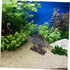 1Pc Fish Tank Decoration, Resin Aquarium Hideout Lizard Accessories, Steampunk Table Centerpiece for Fish Tank