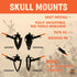 Herron Outdoors Skull Mount - Fully Adjustable Skull Wall Mount for Displaying Taxidermy, Deer and Euro Skulls