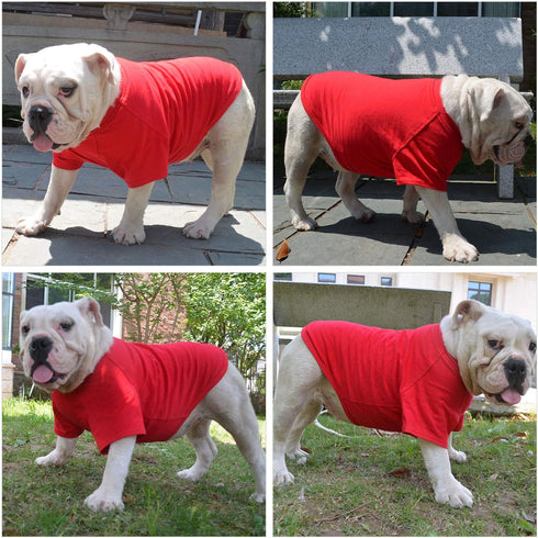 Lovelonglong Pet Clothing Dog Costumes Basic Blank T-Shirt Tee Shirts for Small Dogs, Red S