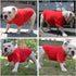 Lovelonglong Pet Clothing Dog Costumes Basic Blank T-Shirt Tee Shirts for Small Dogs, Red S