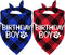 STMK 2 Pack Dog Birthday Bandana, Plaid Triangle Scarf for Dog and Puppy Birthday Celebrations