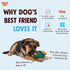 WEST PAW Funnl Dog Chew Toy - Interactive Treat Toy, Fillable with Earth Animal No-Hide Chews, Large