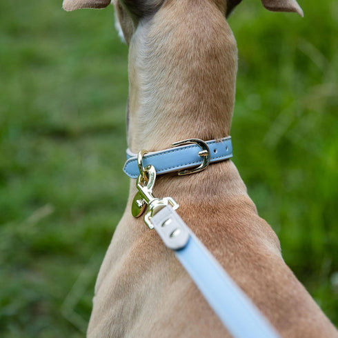 Leather Dog Leash, Cupertino Slim Leash with Reinforced Hardware, European Design, Blue, 4ft