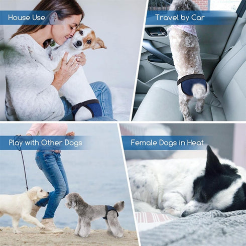 3 Dog Pants in Heat Reusable Diapers with Replace Diaper, Female Dog Heat Cycle Pants Adjustable Protective Pad