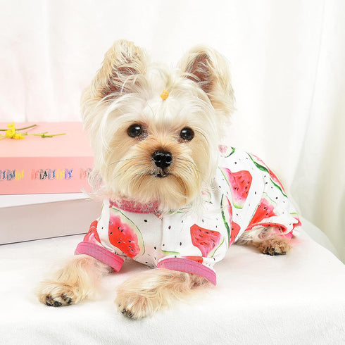 Dog Pajamas for Small Dogs - Summer Pet Onesies for Chihuahua Yorkie Teacup, Cute Soft Material (X-Small, Watermelon)