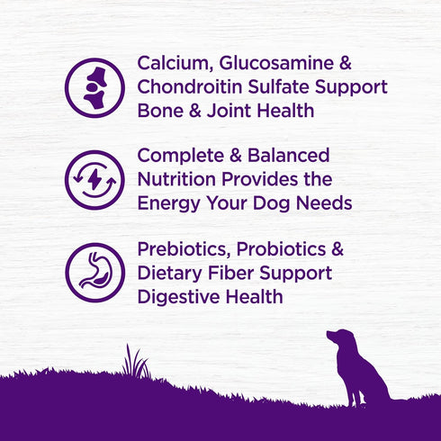 Wellness Complete Health Senior Dry Dog Food with Grains, Chicken & Barley, 5 lb Bag