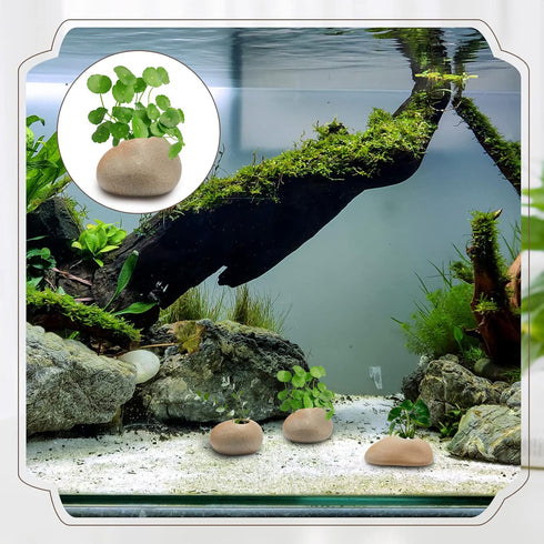 Norme 8 Pcs Ceramic Aquarium Plant Pots, Aquatic Cup Holder for Fish Tank Decorations