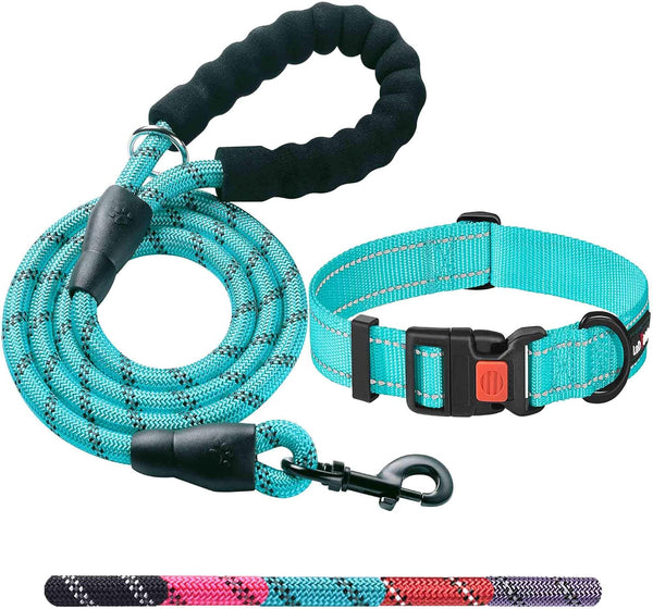 Heavy Duty Dog Leash, Comfortable Padded Handle, 5 ft Long for Small Medium Large Dogs, Blue