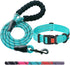 Heavy Duty Dog Leash, Comfortable Padded Handle, 5 ft Long for Small Medium Large Dogs, Blue