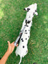 Tuff Pupper Short Dog Leash for Training | 12 Inch | Perfect Traffic Leash Handle with Padding for Service Dog Harness