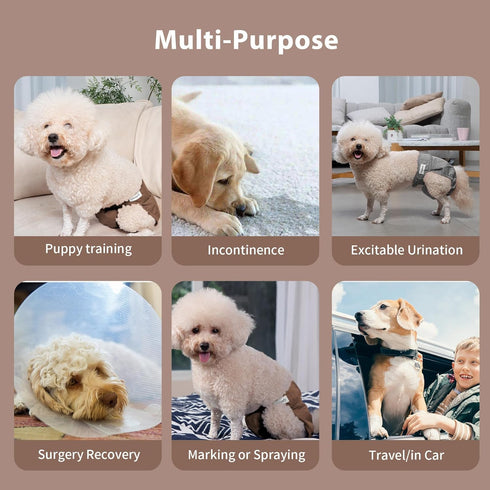 Dogs,(4 Pack) Vecomfy Reusable Female Dog Diapers for Small Easy Absorbent Puppy Diapers for Peeing,in Heat,Doggie