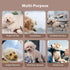 Dogs,(4 Pack) Vecomfy Reusable Female Dog Diapers for Small Easy Absorbent Puppy Diapers for Peeing,in Heat,Doggie