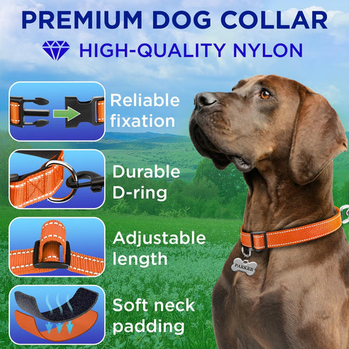TECEUM Reflective Pet Collar – Orange – L – Extra Soft Padding – Basic Nylon Dog Collar – Quick Release Buckle – Fits Small, Medium and Large Dogs, Puppies, Cats – ESA & Service Dog Options