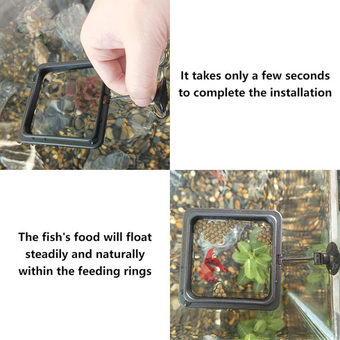 FREESEA Fish Feeding Ring for Aquarium - Square Betta Floating Feeding Ring for Fish Tank
