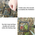 FREESEA Fish Feeding Ring for Aquarium - Square Betta Floating Feeding Ring for Fish Tank