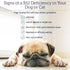 RX Vitamins B12 for Dogs and Cats, Digestive Support for Metabolic Process, Pure B12 for Nervous System - 4oz