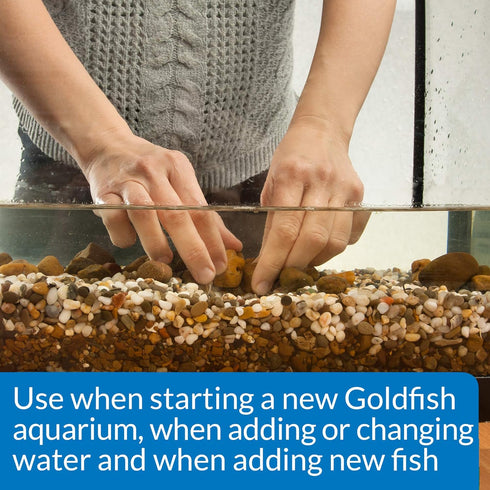 4-Ounce API GOLDFISH PROTECT Aquarium Water Conditioner Bottle