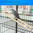 2pcs Bird Wooden Ladder, Wooden Ladder for Bird Cage Parrot Climbing Toy (5 & 7 Step)
