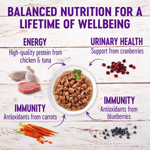 Wellness Healthy Indulgence Gravies Grain-Free Wet Cat Food: Natural Ingredients, Quality Proteins, 3 oz Pouches (8