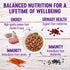 Wellness Healthy Indulgence Gravies Grain-Free Wet Cat Food: Natural Ingredients, Quality Proteins, 3 oz Pouches (8