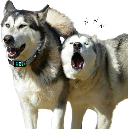 Dog Bark Collar Long-Lasting Type C Rechargeable with 8 Sensitivity Levels, Safe Modes for Small Medium Large Dogs