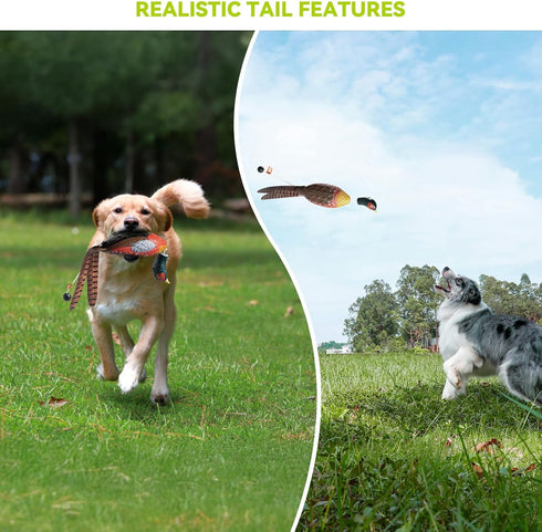 GearOZ Dummy, Duck Mimics Dead Duck Bumper for Gun Dog Training Scent Waterfowl Hunting Retriever, Outdoor Mallard